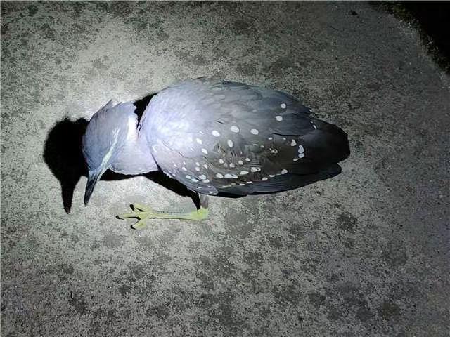 海南的魅力与风情